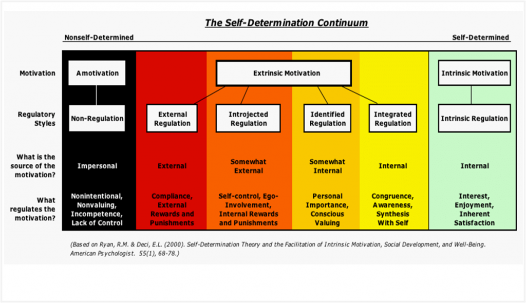 The self-determination continuum,  ranging from external motivators (rewards and punishments) to intrinsic motivators (interest, enjoyment, and inherent satisfaction)